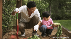 <b>上实和风院售楼处首页-上实和风院售楼处德律风</b>