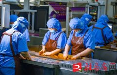 <b><b>西平县俏嘴巴：休闲食物加工产销旺</b></b>